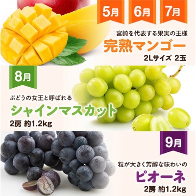 【発送月固定定期便】超プレミアムデラックス定期便(川南町)全12回