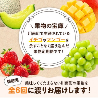 【発送月固定定期便】プレミアムデラックス定期便(偶数月)(川南町)全6回