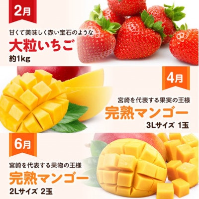 【発送月固定定期便】プレミアムデラックス定期便(偶数月)(川南町)全6回