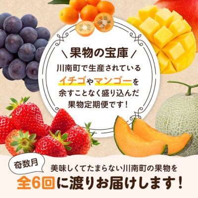 【発送月固定定期便】プレミアムデラックス定期便(奇数月)(川南町)全6回