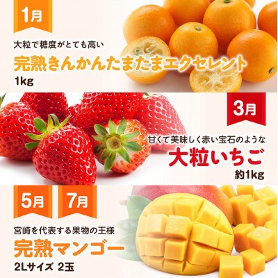 【発送月固定定期便】プレミアムデラックス定期便(奇数月)(川南町)全6回