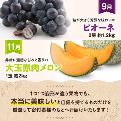 【発送月固定定期便】プレミアムデラックス定期便(奇数月)(川南町)全6回
