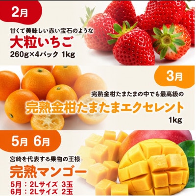【発送月固定定期便】大人気くだもの定期便Vol.3(川南町)全6回