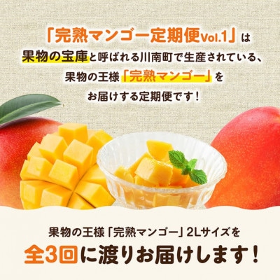 【発送月固定定期便】完熟マンゴー定期便Vol.1全3回