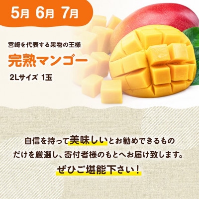 【発送月固定定期便】完熟マンゴー定期便Vol.1全3回