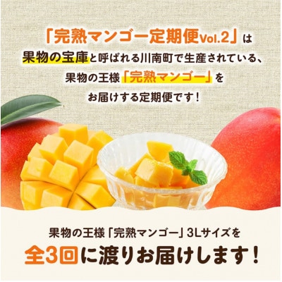 【発送月固定定期便】完熟マンゴー定期便Vol.2全3回