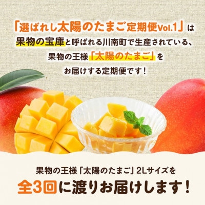 【発送月固定定期便】選ばれし太陽のたまご定期便Vol.1全3回