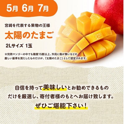 【発送月固定定期便】選ばれし太陽のたまご定期便Vol.1全3回