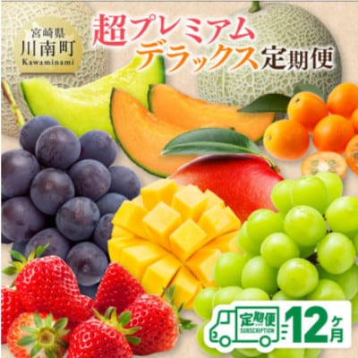 【発送月固定定期便】超プレミアムデラックス定期便(川南町)全12回