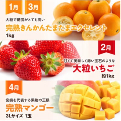 【発送月固定定期便】超プレミアムデラックス定期便(川南町)全12回