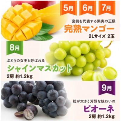 【発送月固定定期便】超プレミアムデラックス定期便(川南町)全12回