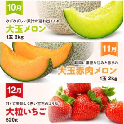 【発送月固定定期便】超プレミアムデラックス定期便(川南町)全12回