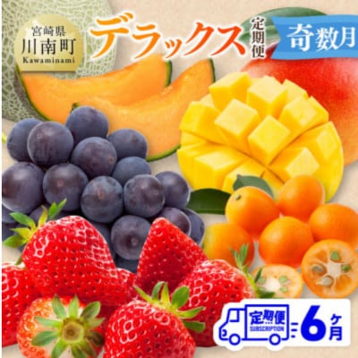 【発送月固定定期便】デラックス定期便【奇数月】(川南町)全6回