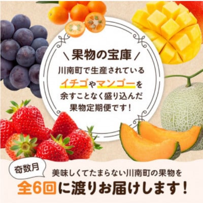 【発送月固定定期便】デラックス定期便【奇数月】(川南町)全6回