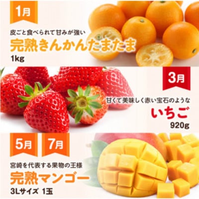 【発送月固定定期便】デラックス定期便【奇数月】(川南町)全6回