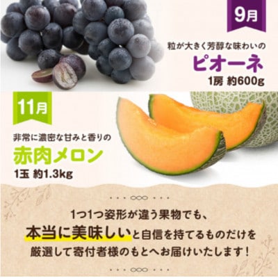 【発送月固定定期便】デラックス定期便【奇数月】(川南町)全6回