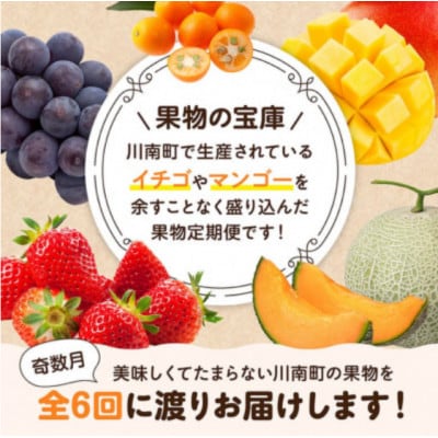 【発送月固定定期便】プレミアムデラックス定期便【奇数月】(川南町)全6回