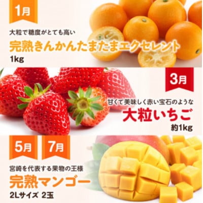 【発送月固定定期便】プレミアムデラックス定期便【奇数月】(川南町)全6回