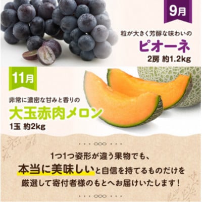 【発送月固定定期便】プレミアムデラックス定期便【奇数月】(川南町)全6回