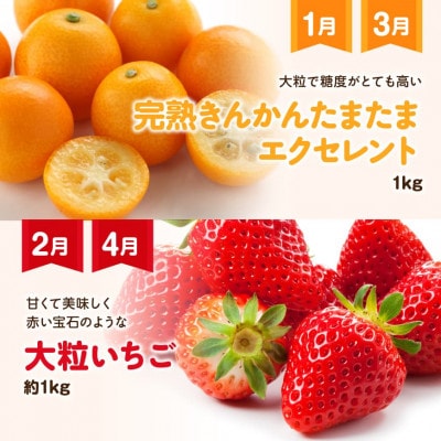 【発送月固定定期便】超プレミアムデラックス定期便(川南町)全12回