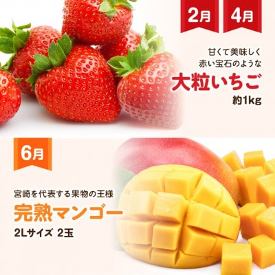 【発送月固定定期便】プレミアムデラックス定期便(偶数月)(川南町)全6回