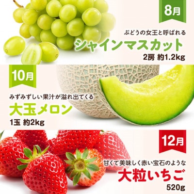 【発送月固定定期便】プレミアムデラックス定期便(偶数月)(川南町)全6回