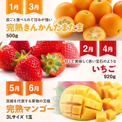【発送月固定定期便】デラックス定期便(川南町)全12回