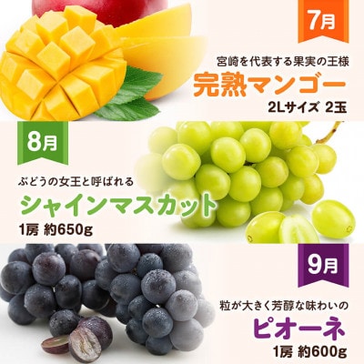 【発送月固定定期便】デラックス定期便(川南町)全12回