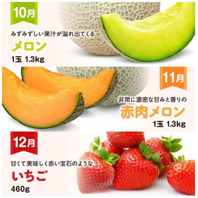 【発送月固定定期便】デラックス定期便(川南町)全12回