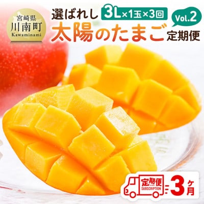 【発送月固定定期便】選ばれし太陽のたまご定期便　Vol.2全3回