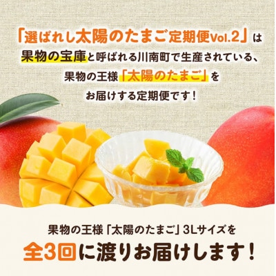 【発送月固定定期便】選ばれし太陽のたまご定期便　Vol.2全3回