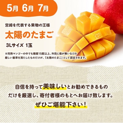 【発送月固定定期便】選ばれし太陽のたまご定期便　Vol.2全3回