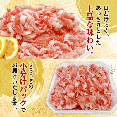 【小分け】宮崎県産豚肉切り落とし3.5kg(川南町)