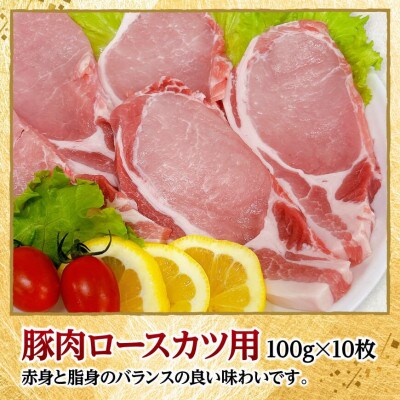 宮崎県産豚肉ロース・ヒレカツ計20枚(1.3kg)(川南町)
