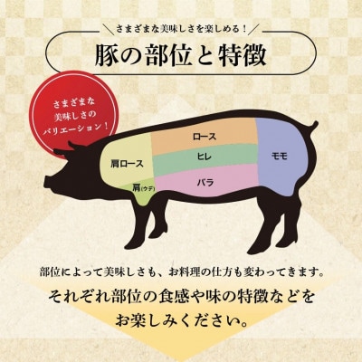 宮崎県産豚肉ロースとんかつ用30枚(川南町)