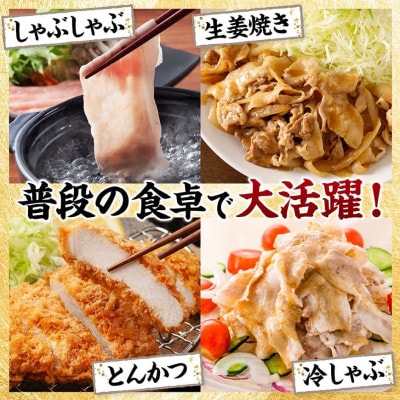 宮崎県産豚肉5種　3.2kg(川南町)