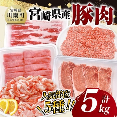 宮崎県産豚肉5種　5kg(川南町)