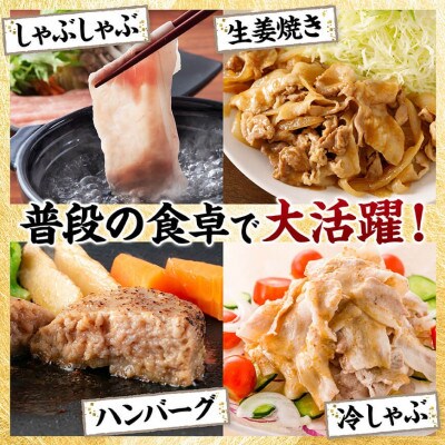 宮崎県産豚肉5種　5kg(川南町)