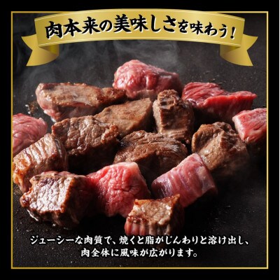 宮崎牛 厳選 5等級 ヘルシー 赤身 サイコロステーキ 600g(300g×2パック)(川南町)