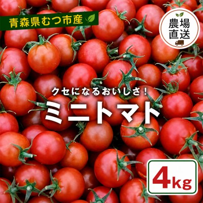 むつ市産　寅福菜園の「ミニトマト」4㎏