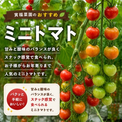 むつ市産　寅福菜園の「ミニトマト」4㎏