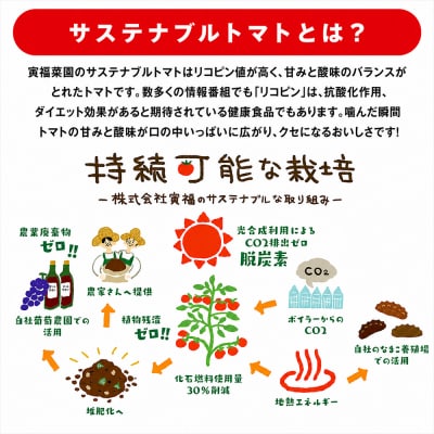 むつ市産　寅福菜園の「ミニトマト」4㎏