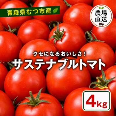 むつ市産　寅福菜園の「サステナブルトマト」4kg