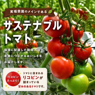 むつ市産　寅福菜園の「サステナブルトマト」4kg