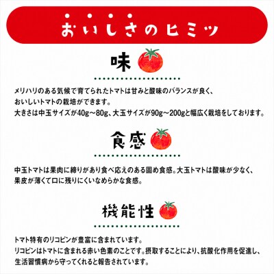 むつ市産　寅福菜園の「サステナブルトマト」4kg