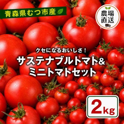 むつ市産　寅福菜園の「サステナブルトマト&ミニトマトセット」2㎏