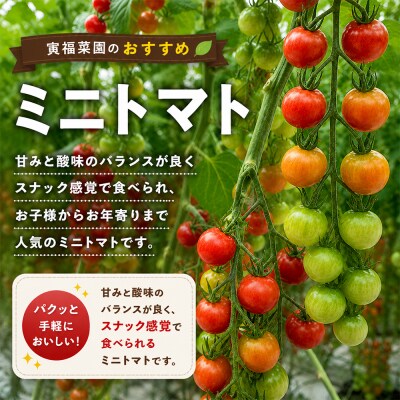 むつ市産　寅福菜園の「サステナブルトマト&ミニトマトセット」2㎏