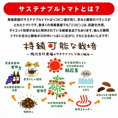 むつ市産　寅福菜園の「サステナブルトマト&ミニトマトセット」2㎏