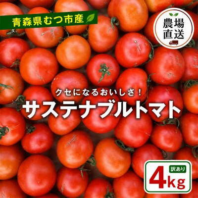 むつ市産　寅福菜園の「サステナブルトマト」訳あり4kg