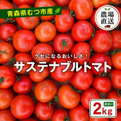 むつ市産　寅福菜園の「サステナブルトマト」訳あり2kg